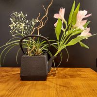 + 120 teas at Teapots in Madrid