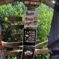 Atmosphere   at Vegan Traveller's Corner in Salvador Benedicto