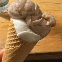  at Der Dicke Schmidt - Neustadt in Dresden