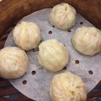 Dim sum: Shanghai dumplings  at Po Kong Vegetarian Restaurant in Vancouver