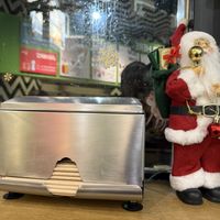 decoration #Veganuary at Maoz - Damrak in Amsterdam