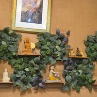  at Shama Vegetarian Indian Restaurant in Osaka