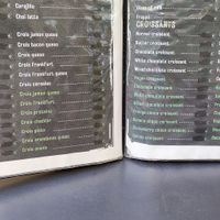  at CroisSants in Barcelona