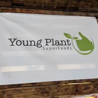 Logo at Young Plant - Food Stand in Cork