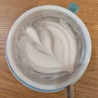  at Taylor's Cafe in Brussels