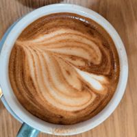  at Taylor's Cafe in Brussels