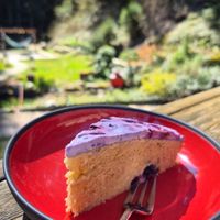 The vegan lemon cake with blueberry topping is an absolute winner! at The Hungry Yogi  in Scionzier