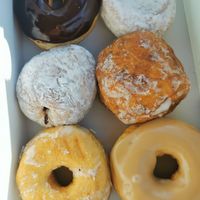 Vegan donuts at Healthy Food Technologies in Mississippi Mills