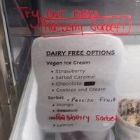 Vegan flavors at Scoops Ice Cream & Acai Bowls in Naples