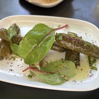 Stuffed wine leafs   at Gaia Kitchen in Vienna