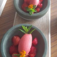 Desert: sorbet with strawberries at Hotel Seegarten in Sundern