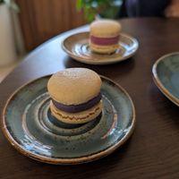 Macarons! at Steppe Healthy and Vegan Bakery, in Lviv