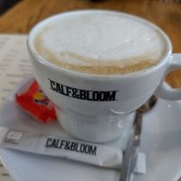 Cappuccino with oatmik at Calf & Bloom in Amsterdam