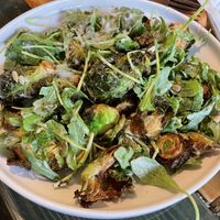 Brussels  at Green Kitchen in Cleveland