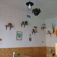 La decoración del lugar at Vale Vegan in San Andres Cholula