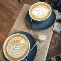 Oat Lattes at The Milkman in Edinburgh