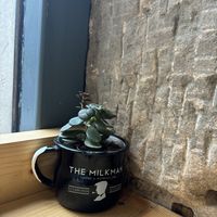 Cute interiorr  at The Milkman in Edinburgh