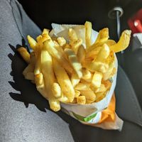Fries at Plant Power Fast Food - Craig Rd in Las Vegas