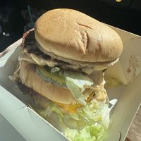 Big zak  at Plant Power Fast Food - Craig Rd in Las Vegas