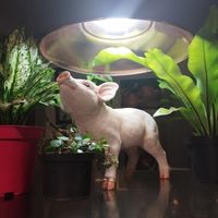  at Nuve Nutrición Verde in Bogota