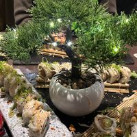 The sushi here was amazing! A really great choice of vegan options - starters, main dishes and sushi 😍   at Masusake in Schwaebisch Hall