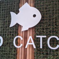 No catch at The No Catch Co in Brighton