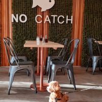 Dog friendly No Catch on Brighton Seafront at The No Catch Co in Brighton
