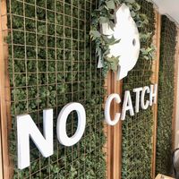 No Catch!  at The No Catch Co in Brighton