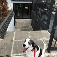 at The No Catch Co in Brighton