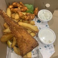   at The No Catch Co in Brighton