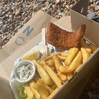 ‘Large'  at The No Catch Co in Brighton