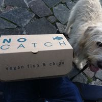  at The No Catch Co in Brighton