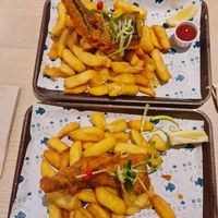  at The No Catch Co in Brighton