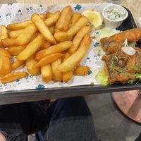   at The No Catch Co in Brighton