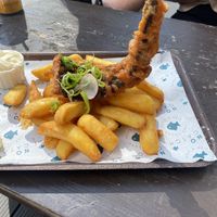   at The No Catch Co in Brighton