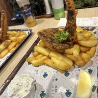   at The No Catch Co in Brighton