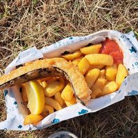 Vegan camp out 2023 at The No Catch Co in Brighton