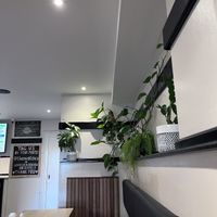   at The No Catch Co in Brighton