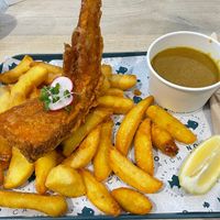   at The No Catch Co in Brighton