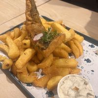   at The No Catch Co in Brighton
