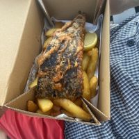   at The No Catch Co in Brighton