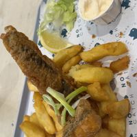   at The No Catch Co in Brighton