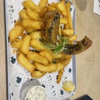   at The No Catch Co in Brighton