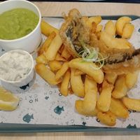  at The No Catch Co in Brighton