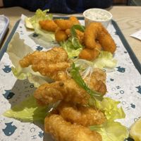   at The No Catch Co in Brighton