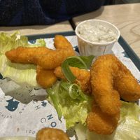   at The No Catch Co in Brighton