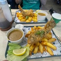  at The No Catch Co in Brighton