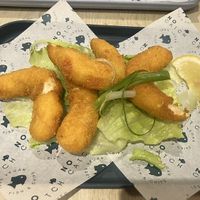   at The No Catch Co in Brighton