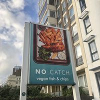   at The No Catch Co in Brighton