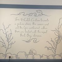   at The No Catch Co in Brighton